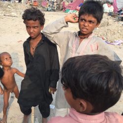 WhatsApp Image 2024-03-26 at 11.45.23 AM