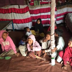 WhatsApp Image 2024-03-29 at 11.24.50 AM